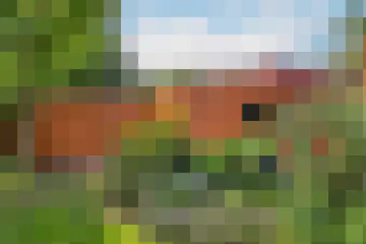 Akkrumerraklaan 92 Utrecht thumbnail 43
