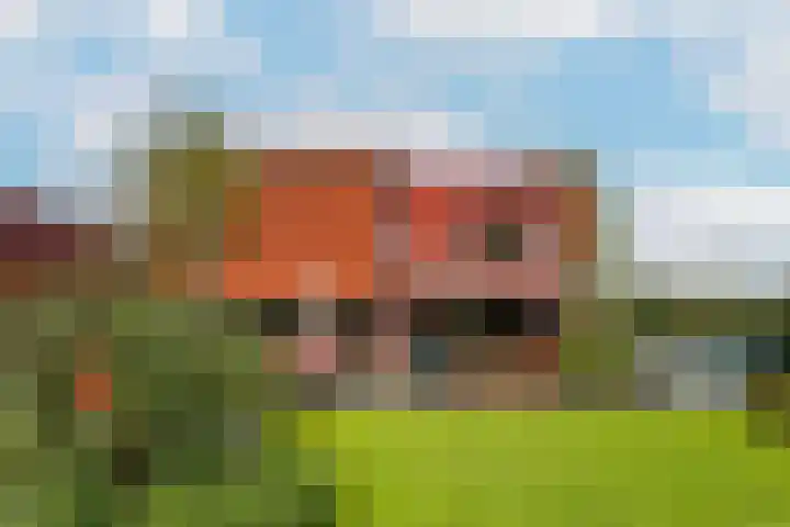 Akkrumerraklaan 92 Utrecht thumbnail 44