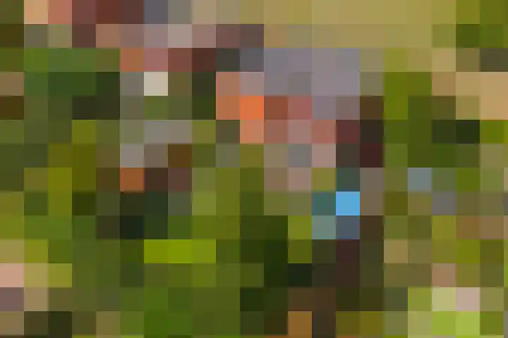 Akkrumerraklaan 92 Utrecht thumbnail 48
