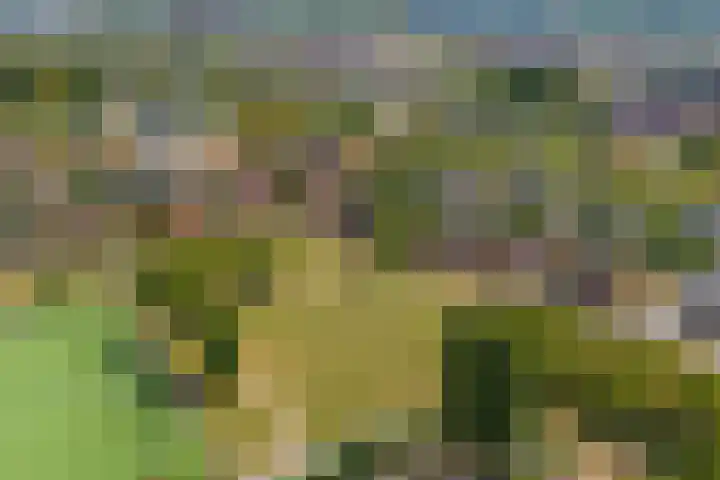 Akkrumerraklaan 92 Utrecht thumbnail 53