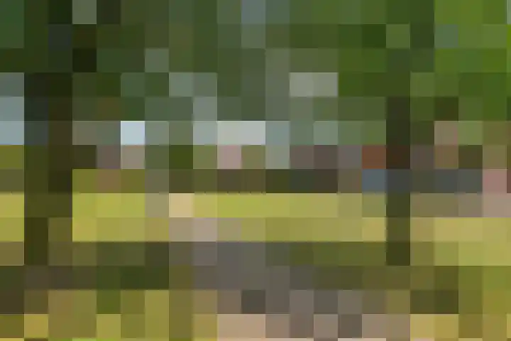 Akkrumerraklaan 92 Utrecht thumbnail 56