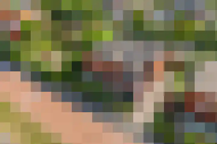 Akkrumerraklaan 92 Utrecht thumbnail 6