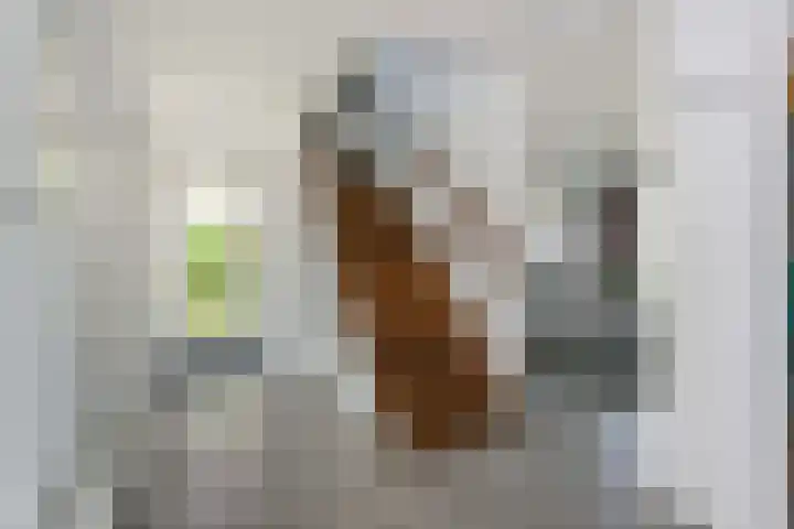 Akkrumerraklaan 92 Utrecht thumbnail 7