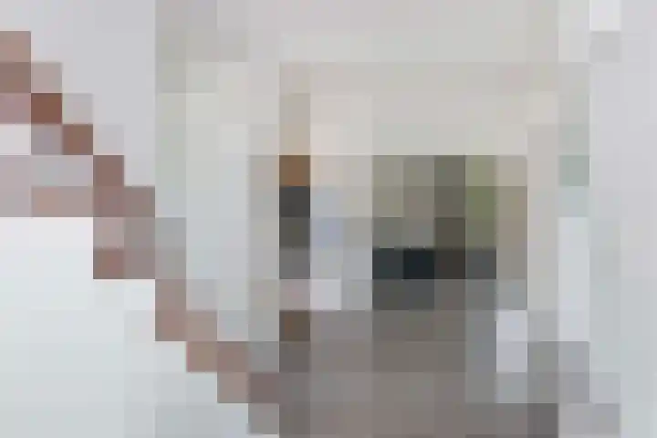Akkrumerraklaan 92 Utrecht thumbnail 8