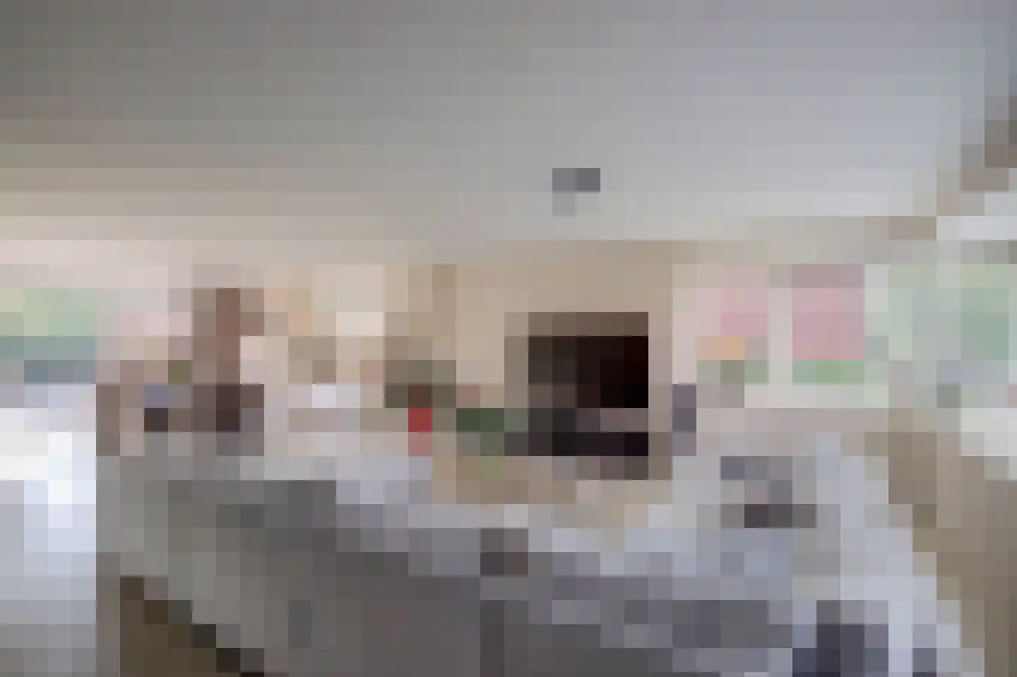 Akkrumerraklaan 96 Utrecht thumbnail 15