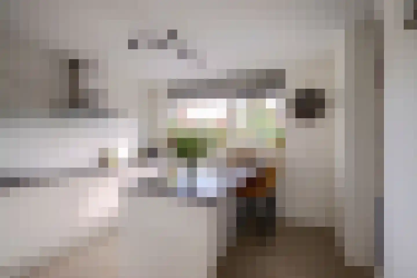 Akkrumerraklaan 96 Utrecht thumbnail 29
