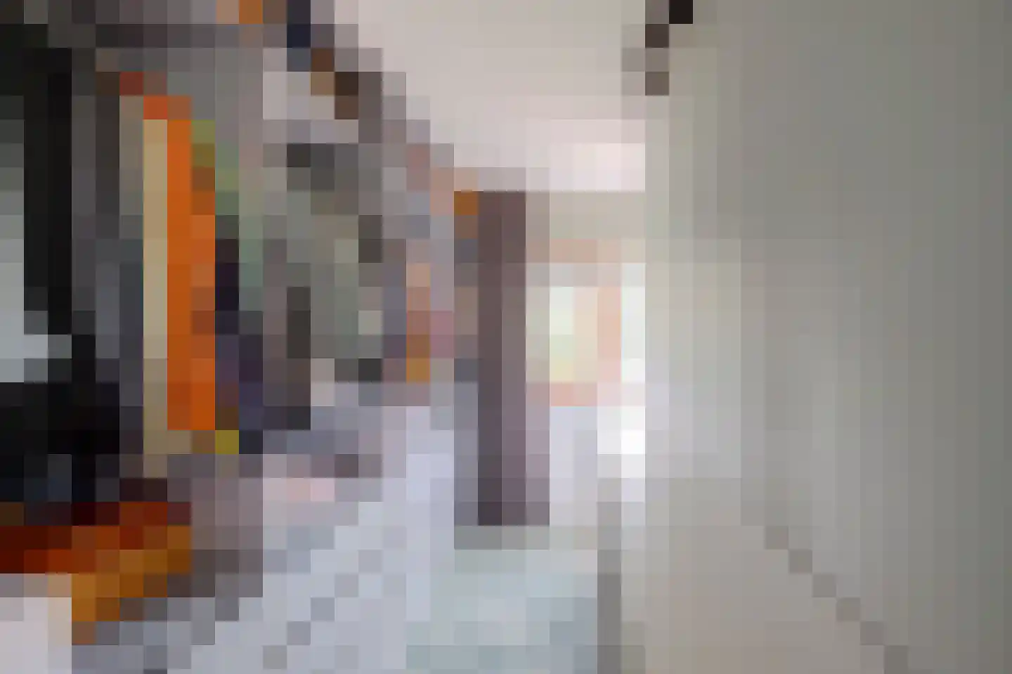 Akkrumerraklaan 96 Utrecht thumbnail 41