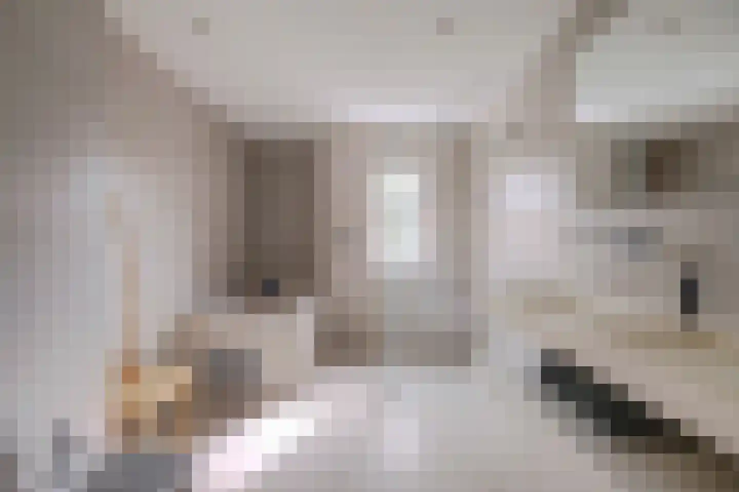Akkrumerraklaan 96 Utrecht thumbnail 42