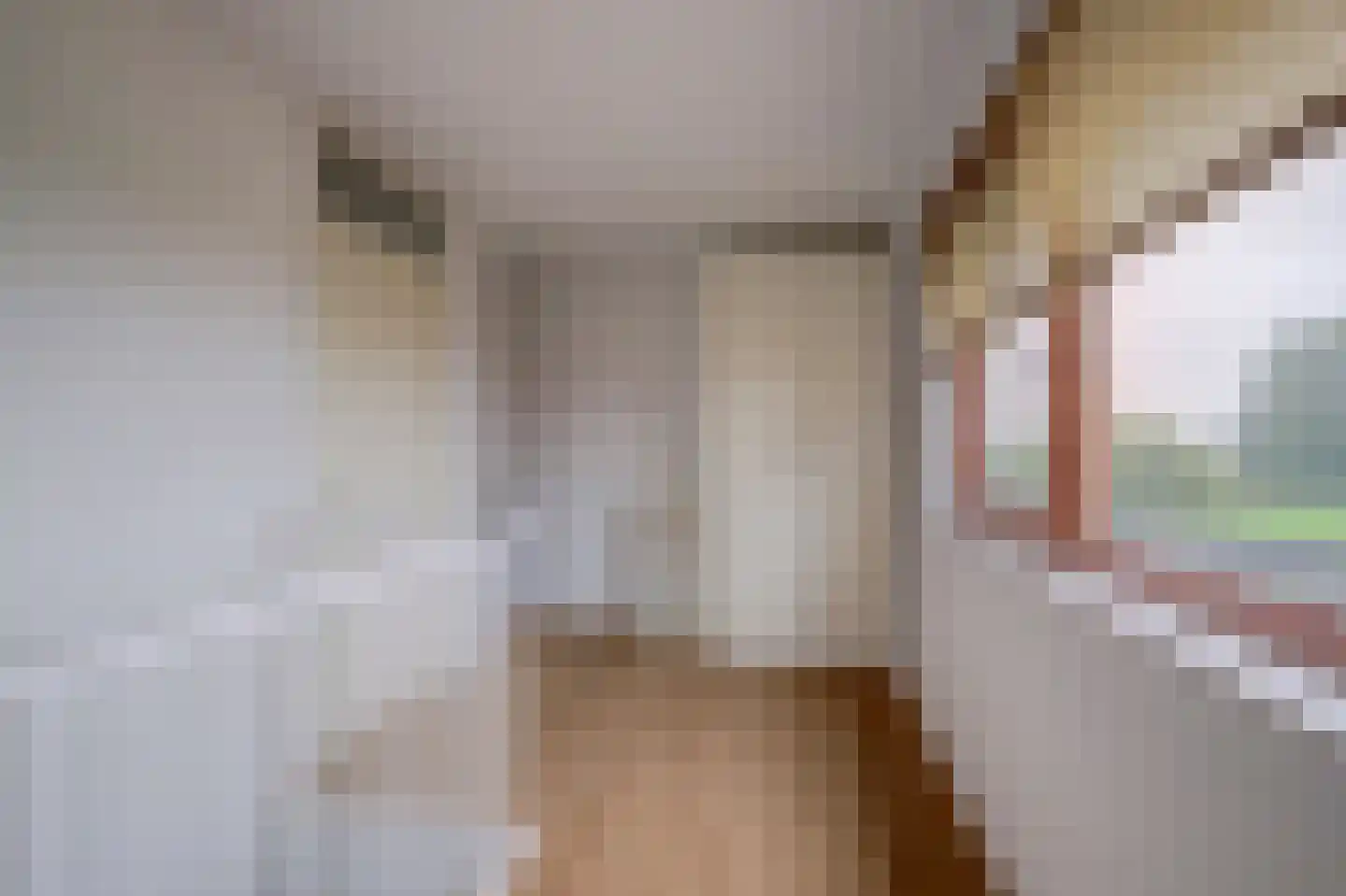 Akkrumerraklaan 96 Utrecht thumbnail 51