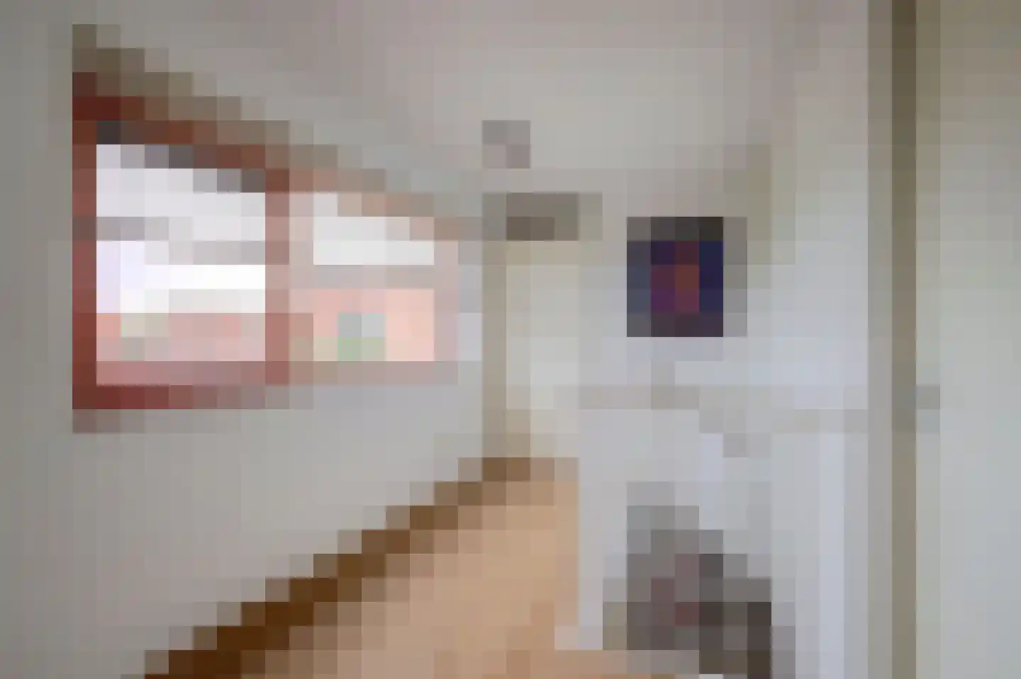Akkrumerraklaan 96 Utrecht thumbnail 52
