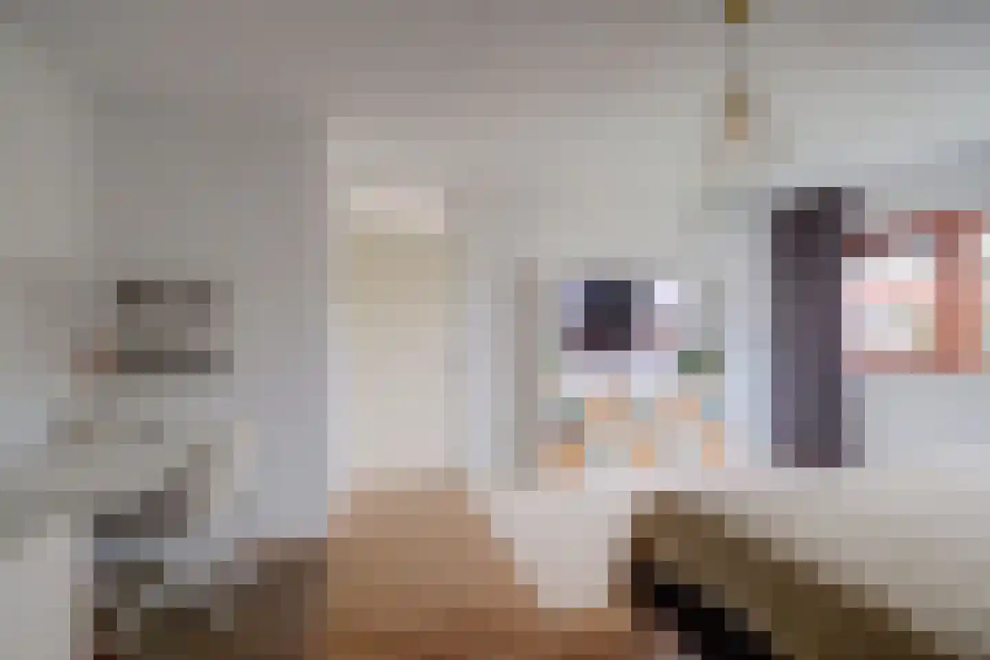 Akkrumerraklaan 96 Utrecht thumbnail 54