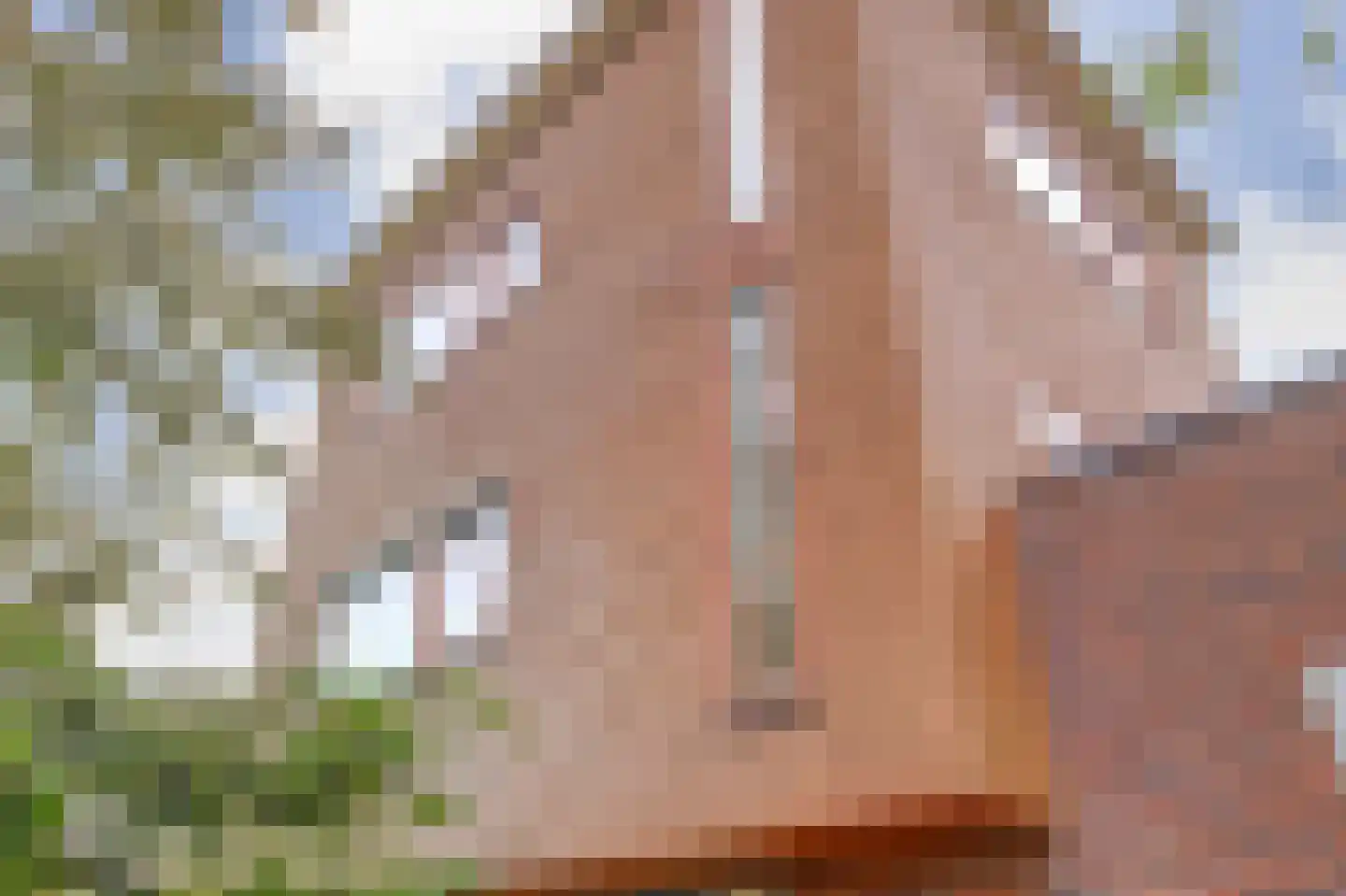 Akkrumerraklaan 96 Utrecht thumbnail 6