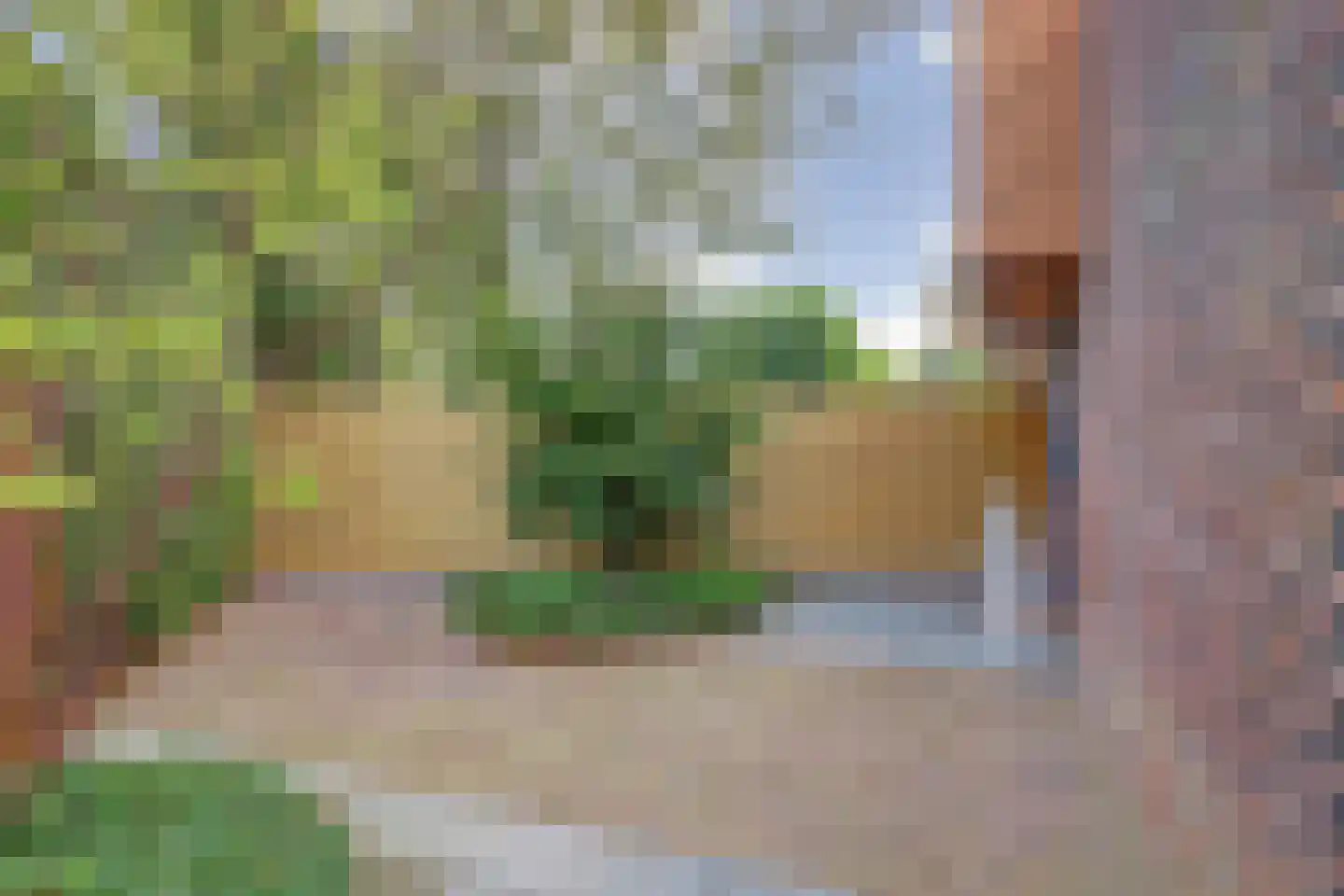 Akkrumerraklaan 96 Utrecht thumbnail 7