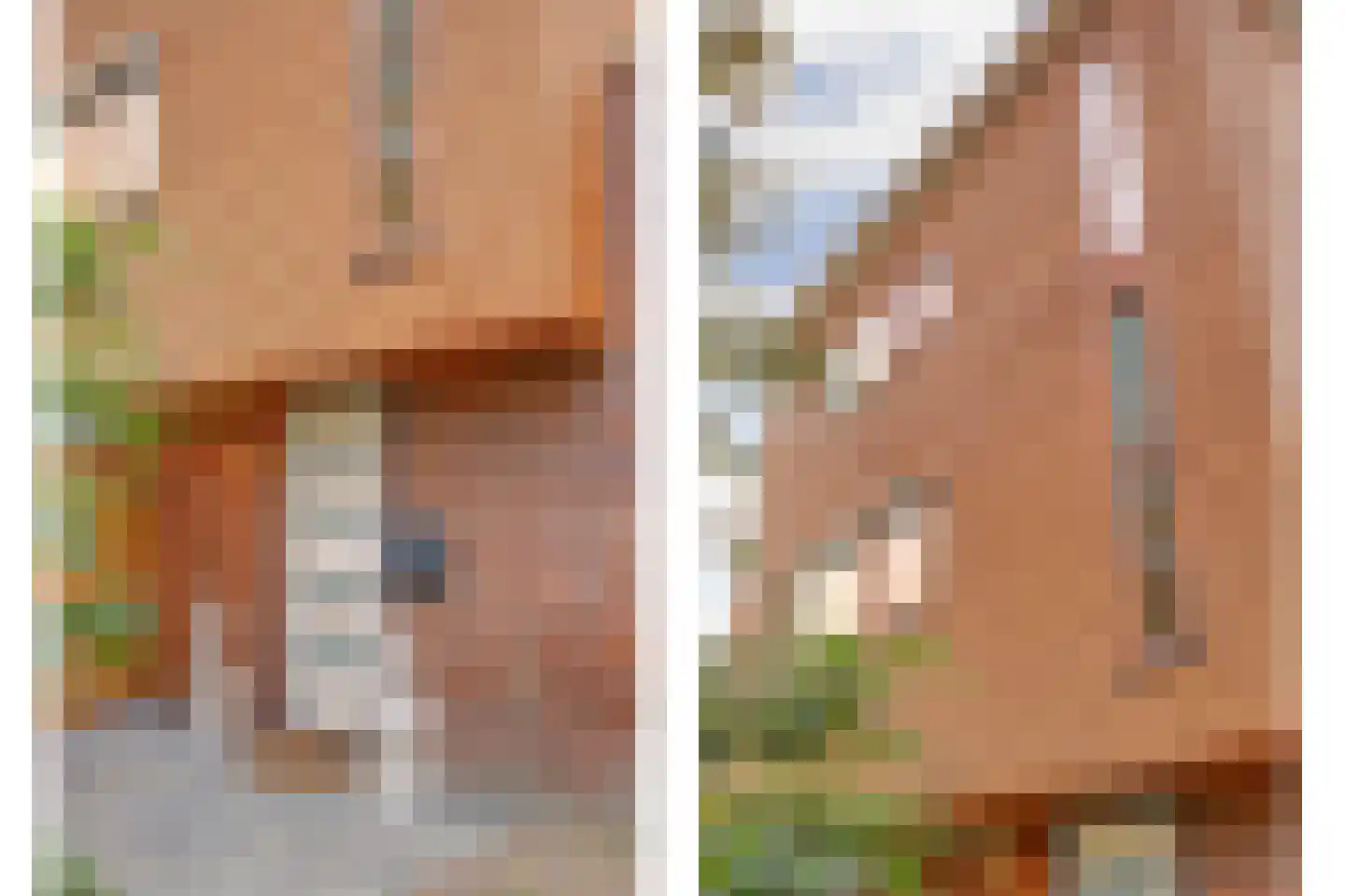 Akkrumerraklaan 96 Utrecht thumbnail 8