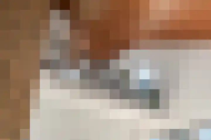 Akkrumlaan 15 Arnhem thumbnail 16