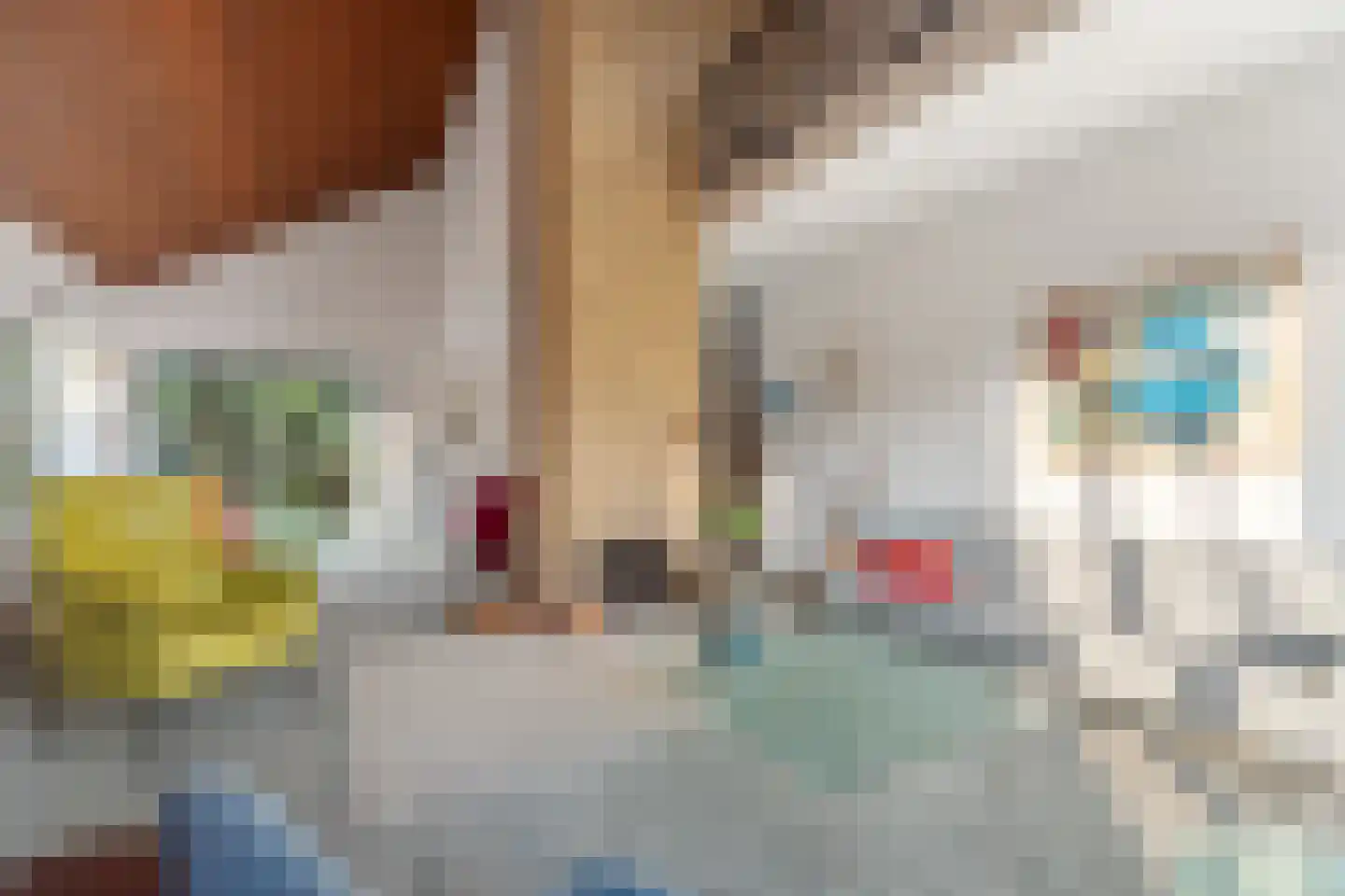 Akkrumlaan 15 Arnhem thumbnail 18