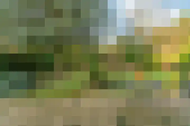 Akkrumlaan 15 Arnhem thumbnail 20