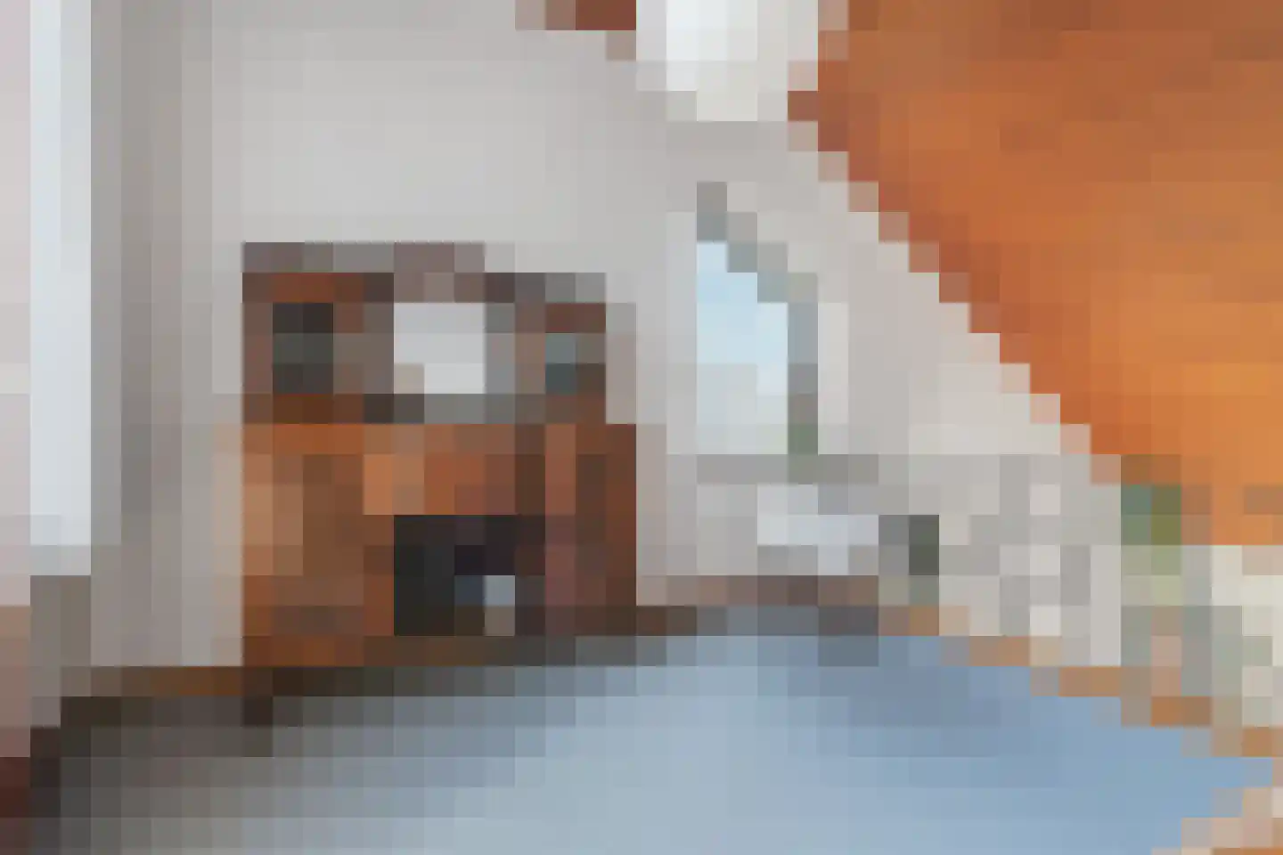 Akkrumlaan 15 Arnhem thumbnail 37