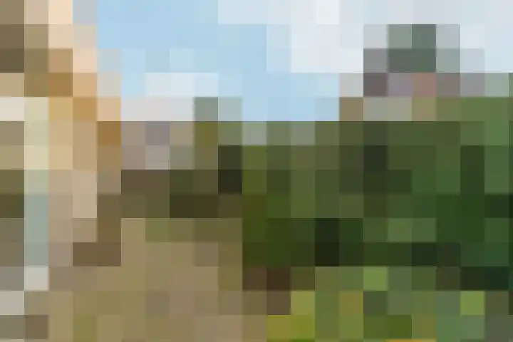 Akkrumlaan 15 Arnhem thumbnail 53