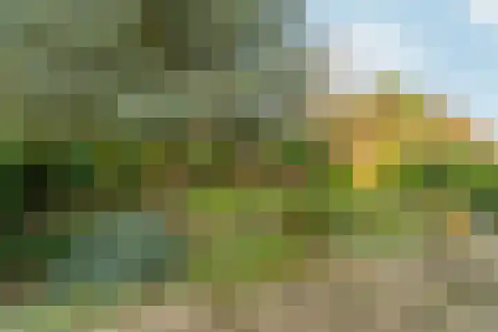 Akkrumlaan 15 Arnhem thumbnail 55