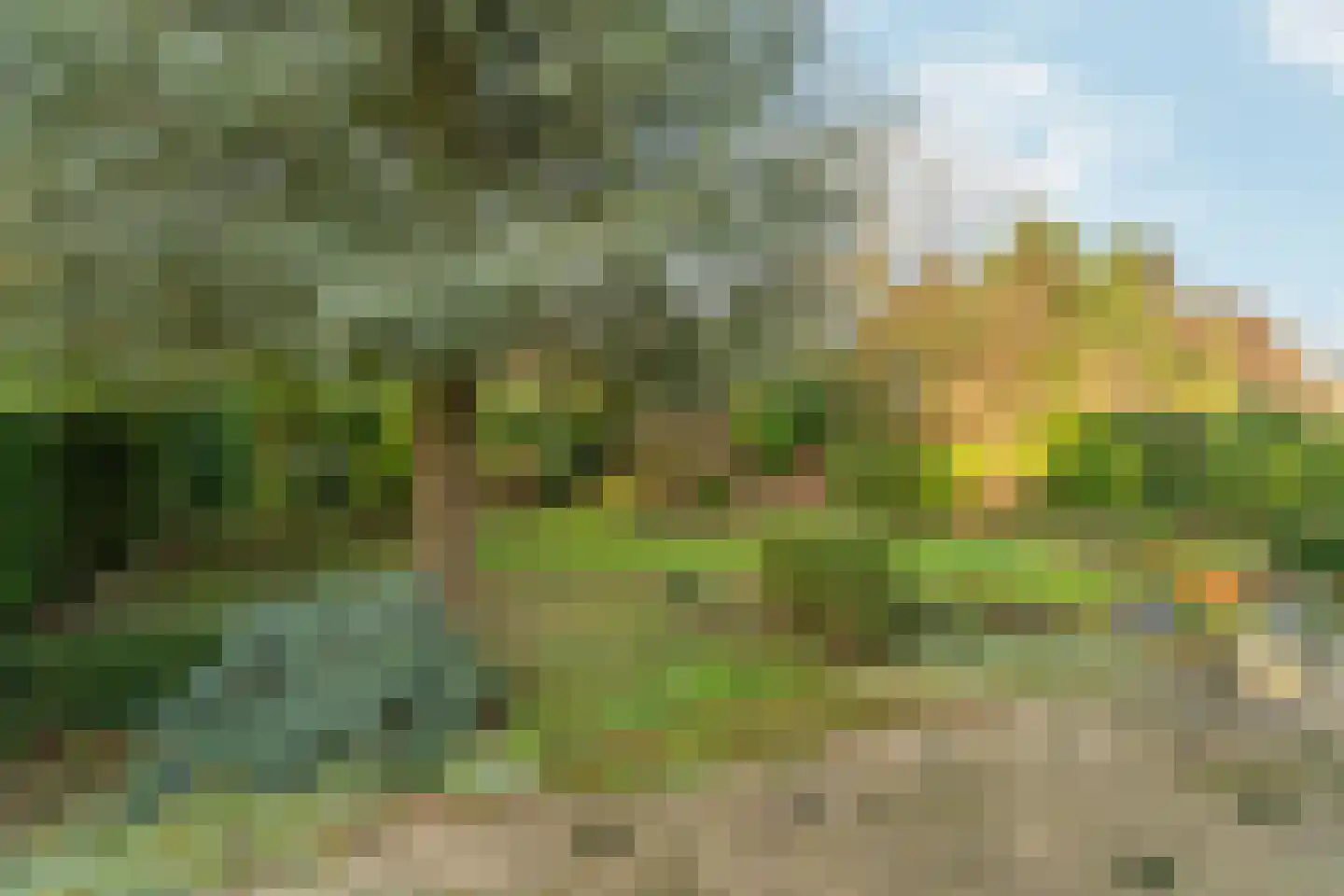 Akkrumlaan 15 Arnhem thumbnail 55