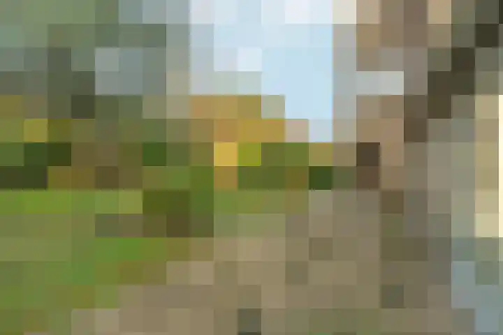 Akkrumlaan 15 Arnhem thumbnail 56