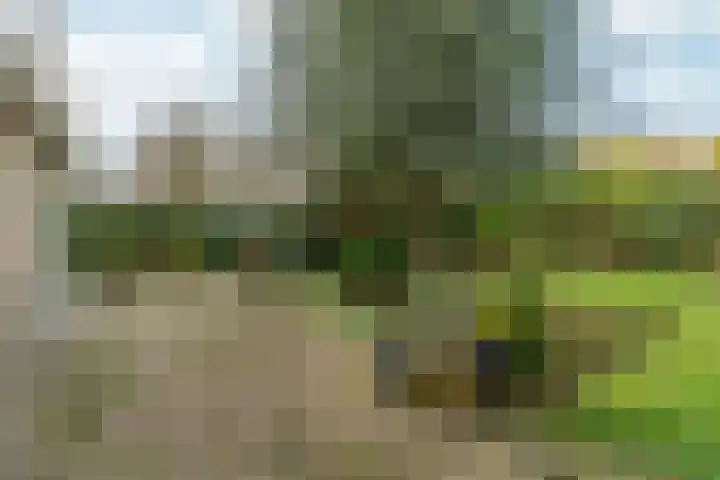 Akkrumlaan 15 Arnhem thumbnail 57