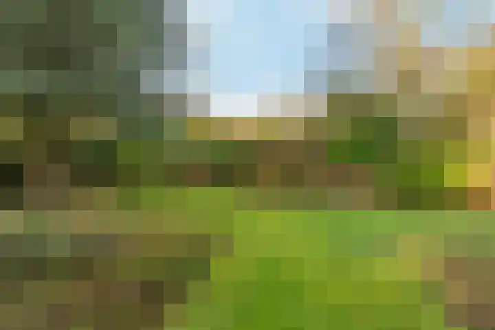 Akkrumlaan 15 Arnhem thumbnail 58