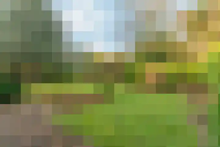 Akkrumlaan 15 Arnhem thumbnail 59