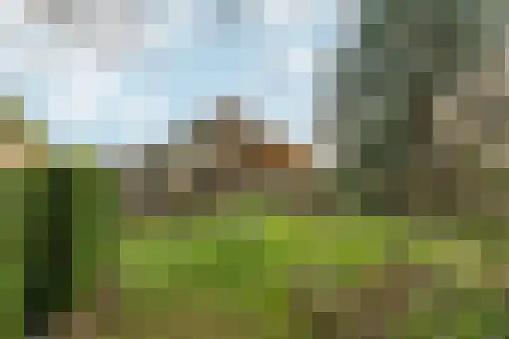 Akkrumlaan 15 Arnhem thumbnail 60