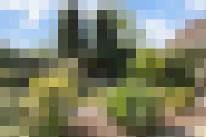 Akkrumlaan 16 Arnhem thumbnail 25