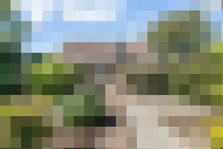 Akkrumlaan 16 Arnhem thumbnail 4