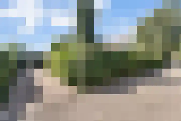 Akkrumlaan 16 Arnhem thumbnail 7