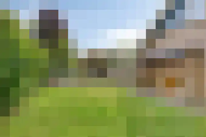 Akkrumlaan 19 Arnhem thumbnail 13