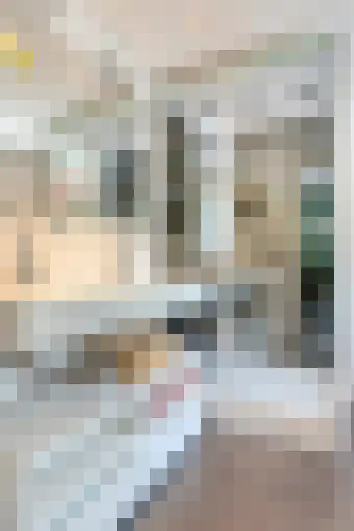 Akkrumlaan 19 Arnhem thumbnail 19