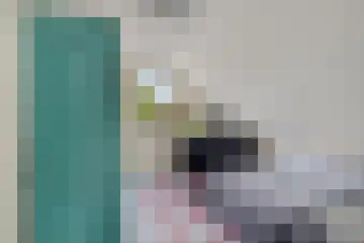Akkrumlaan 19 Arnhem thumbnail 32