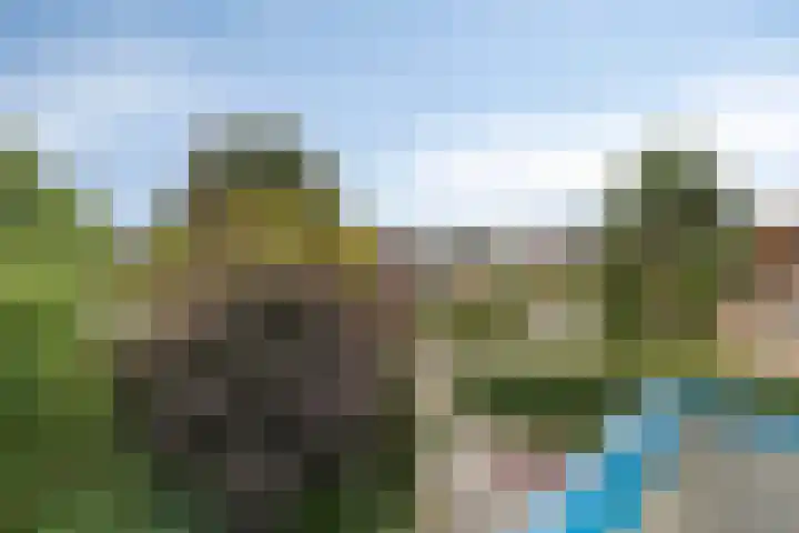Akkrumlaan 19 Arnhem thumbnail 37