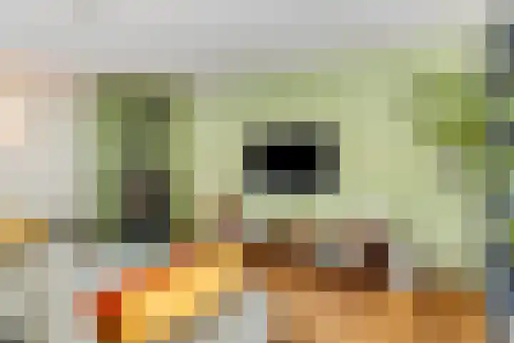 Akkrumlaan 19 Arnhem thumbnail 5