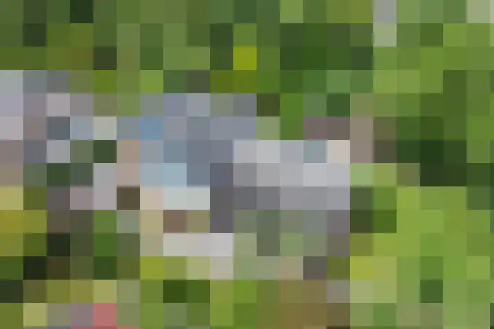 Akkrumlaan 19 Arnhem thumbnail 51