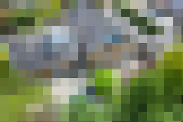 Akkrumlaan 19 Arnhem thumbnail 52