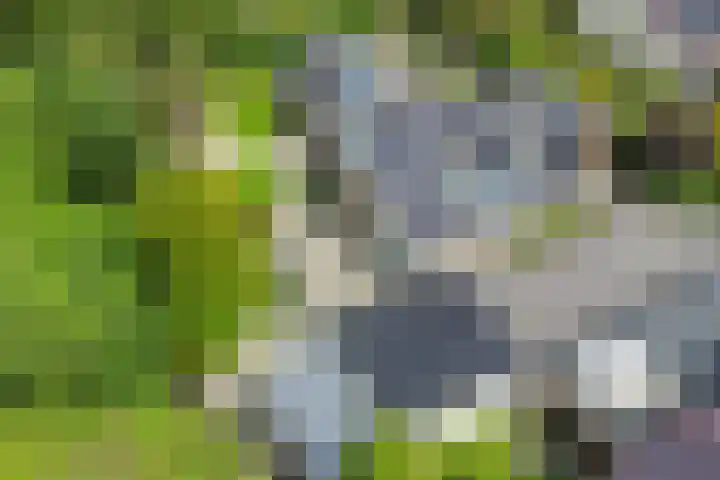 Akkrumlaan 19 Arnhem thumbnail 56
