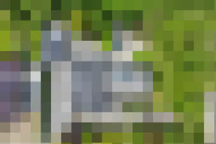 Akkrumlaan 19 Arnhem thumbnail 57