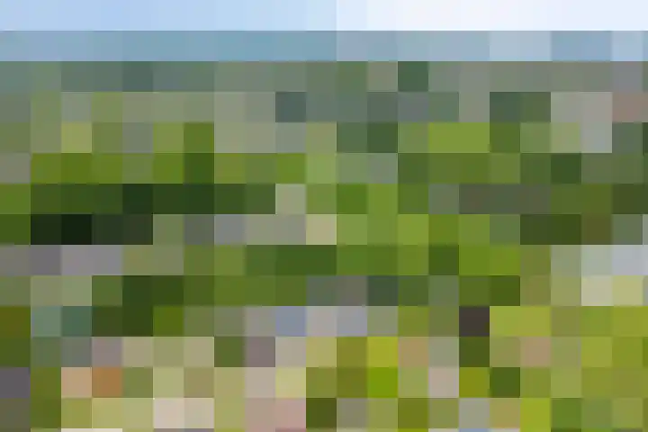Akkrumlaan 19 Arnhem thumbnail 58