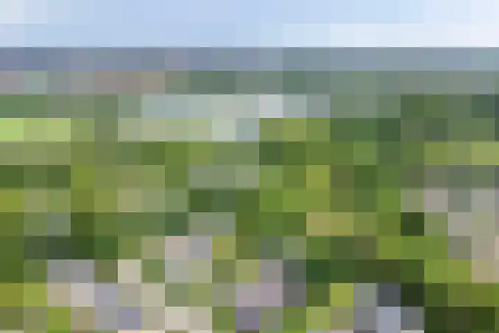 Akkrumlaan 19 Arnhem thumbnail 61