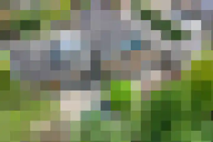 Akkrumlaan 19 Arnhem thumbnail 62