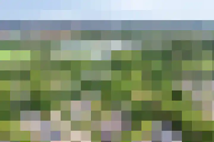Akkrumlaan 19 Arnhem thumbnail 63