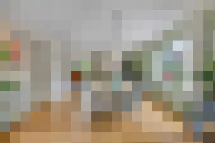 Akkrumlaan 19 Arnhem thumbnail 7