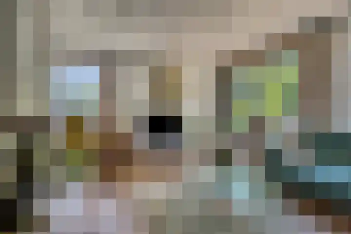 Akkrumlaan 3 Arnhem thumbnail 10