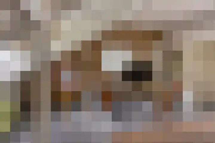 Akkrumlaan 3 Arnhem thumbnail 24