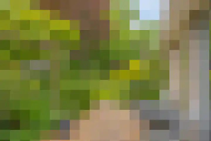 Akkrumlaan 3 Arnhem thumbnail 35